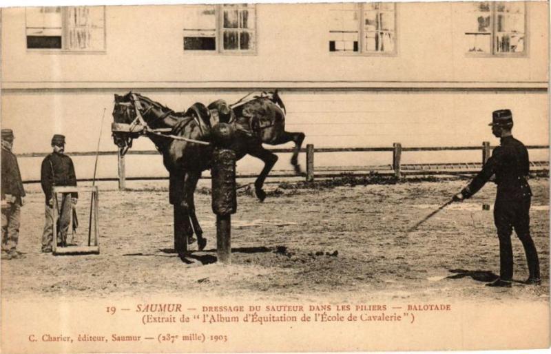 Carte postale ancienne Saumur - Dressage du Sauteur dans les Piliers - Balotade à Saumur