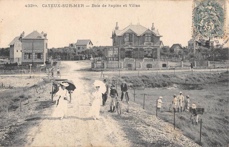 Carte postale ancienne Cayeux Sur Mer - Bois De Sapins Et Villas à Cayeux-sur-Mer