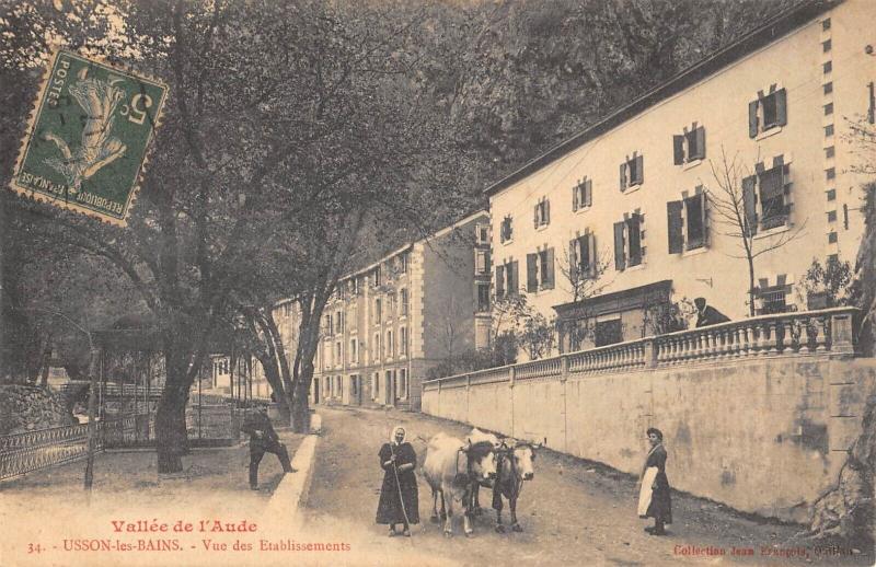 Carte postale ancienne Usson Les Bains - Vue Des Etablissements - Vaches