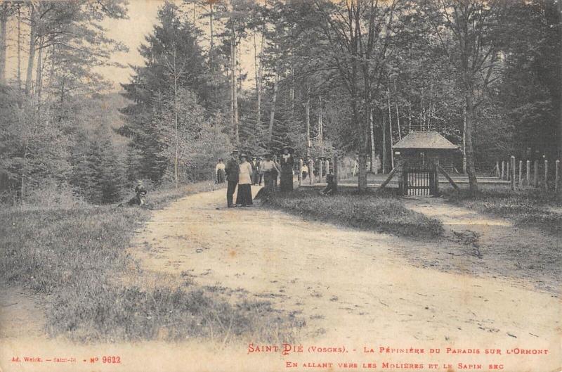 Carte postale ancienne Saint Die - La Pepiniere Du Paradis Sur L'Ormont