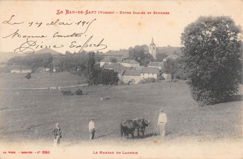 Carte postale ancienne Le Ban De Sapt - Entree Saales Et Senones - Vaches à Ban-de-Sapt