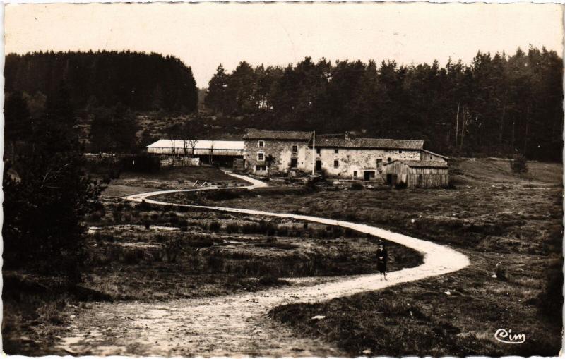 Carte postale ancienne Fournols d'Auvergne Sur les bords de la Dolore France à Fournols