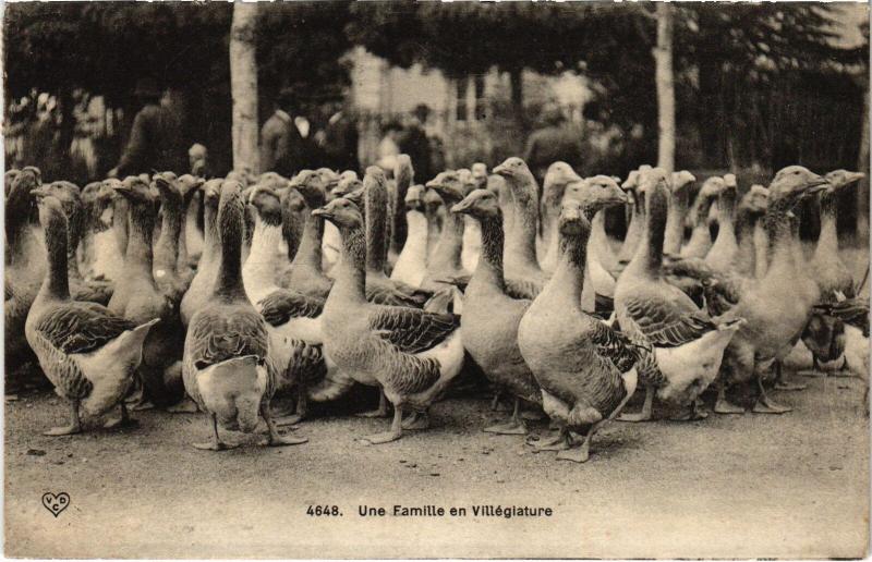 Carte postale ancienne Auvergne Une Famille en Villegiature France