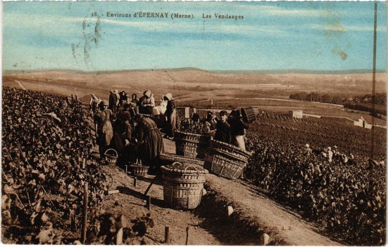 Carte postale ancienne Vendange Epernay