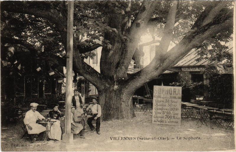 Carte postale ancienne Villennes Le Sophora Restaurant
