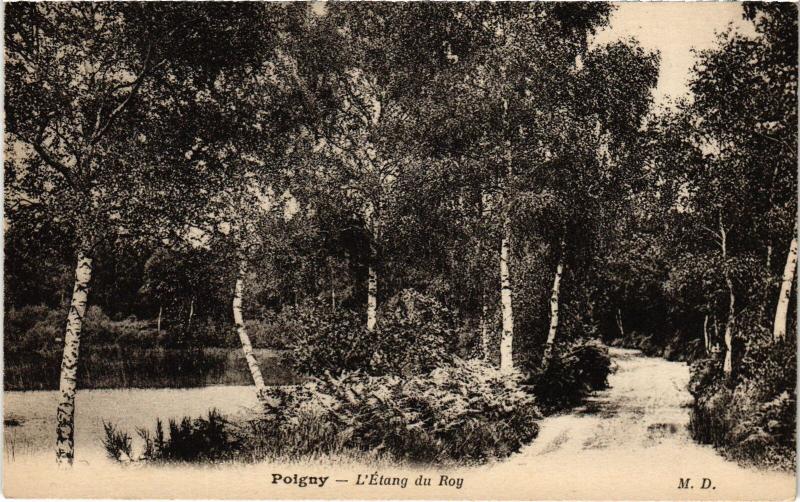 Carte postale ancienne Poigny Etang du Roy