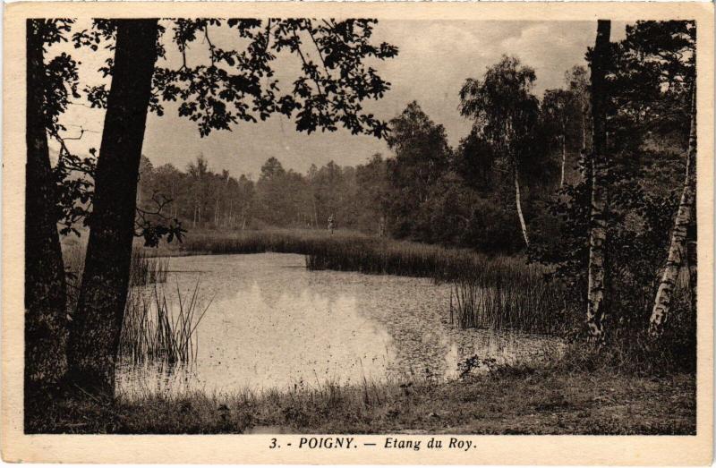 Carte postale ancienne Poigny Etang du Roy