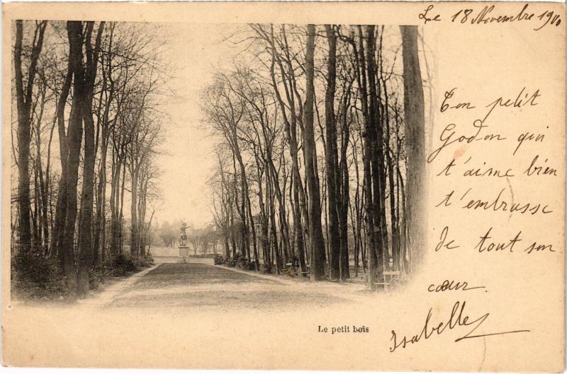 Carte postale ancienne St Cyr l'Ecole le Petit bois