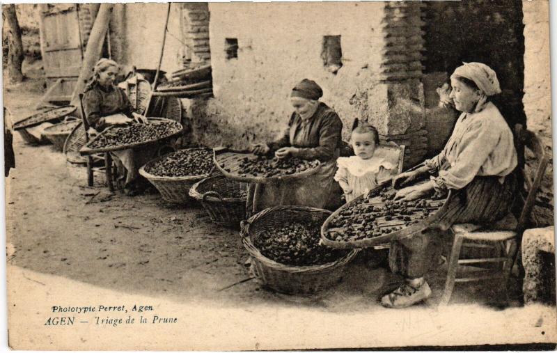Carte postale ancienne Agen Triage de la Prune Folklore