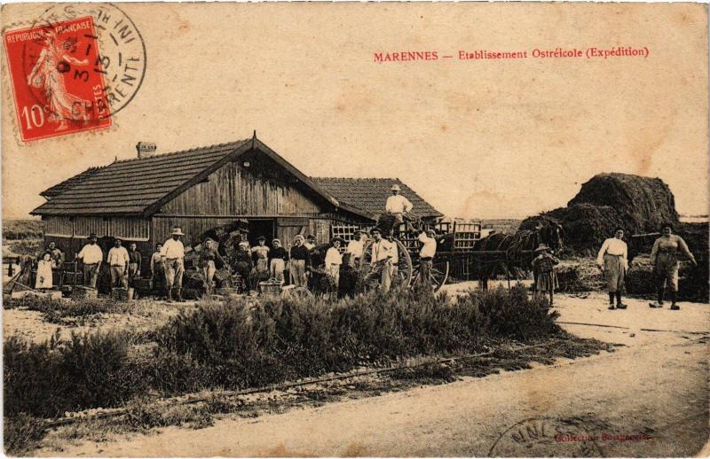 Carte postale ancienne Marennes Etabl. Ostréicole