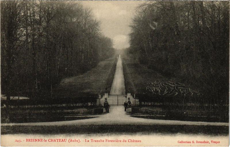 Carte postale ancienne Brienne Tranche Forestiere du Chateau