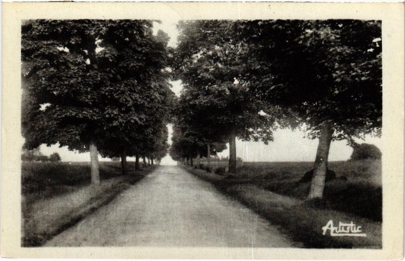 Carte postale ancienne Sergines les Promenades