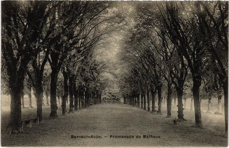 Carte postale ancienne Bar sur Aube Promenade de Mathaux à Bar-sur-Aube