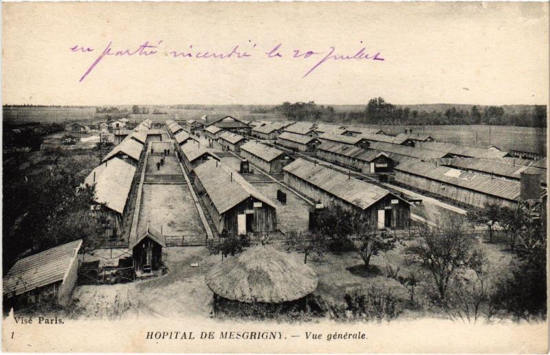 Carte postale ancienne Mesgrigny vue generale à Mesgrigny