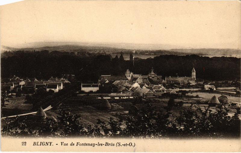 Carte postale ancienne Bligny vue de Fontenay les Brus à Bligny