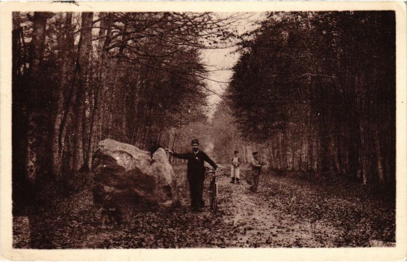 Carte postale ancienne Bonnetable Pierre Druidique