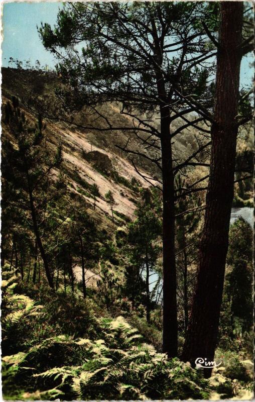 Carte postale ancienne St Leonard versant du Haut Fourche