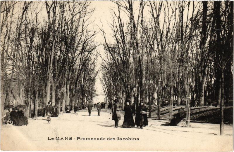 Carte postale ancienne Le Mans Promenade des Jacobins au Mans