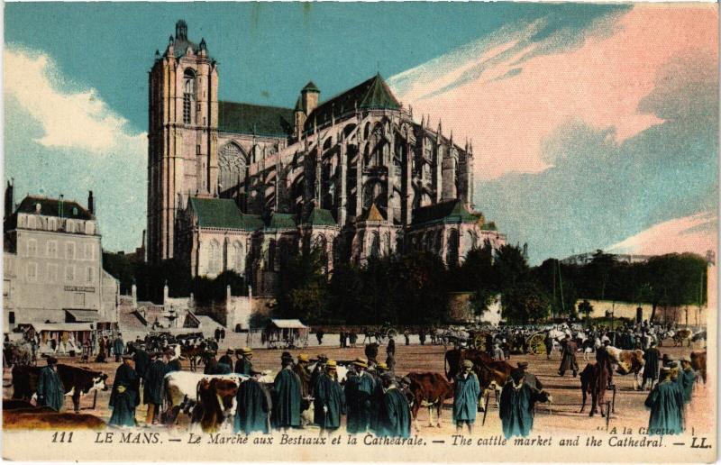 Carte postale ancienne Le Mans le Marche aux Bestiaux au Mans