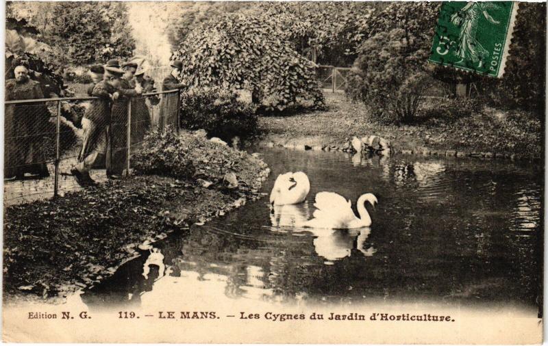 Carte postale ancienne Le Mans Jardin d'Horticulture les cygnes au Mans