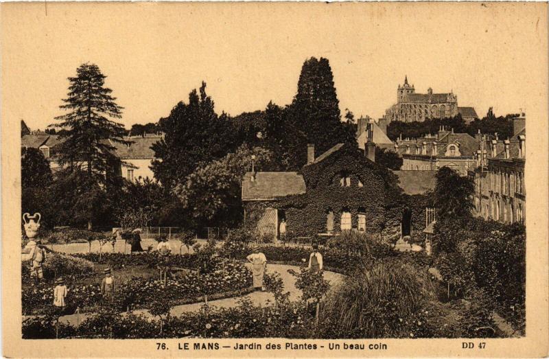 Carte postale ancienne Le Mans Jardin des Plantes au Mans