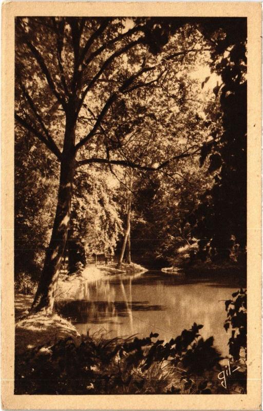 Carte postale ancienne Le Mans Jardin des Plantes le platane au Mans