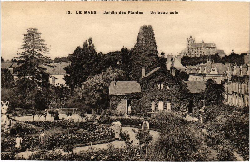 Carte postale ancienne Le Mans Jardin des Plantes au Mans