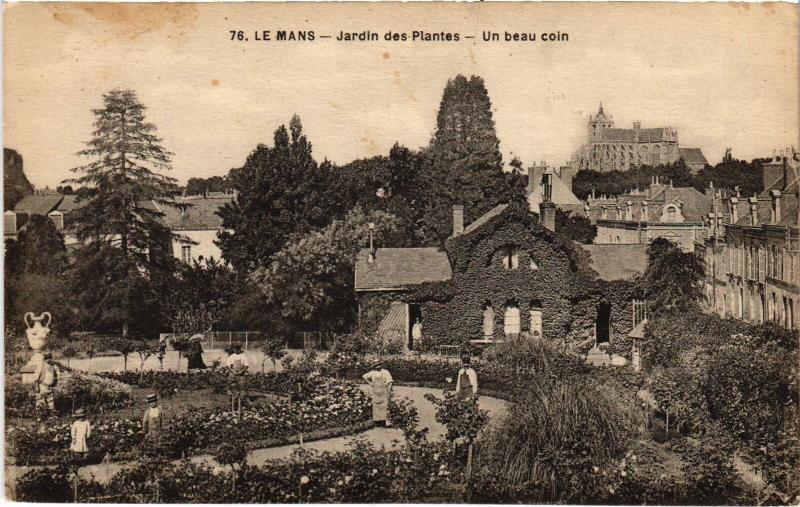 Carte postale ancienne Le Mans Jardin des Plantes au Mans