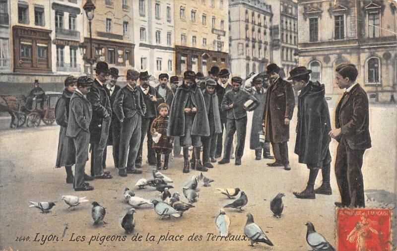 Carte postale ancienne Lyon - Les Pigeons De La Place Des Terreaux à Lyon