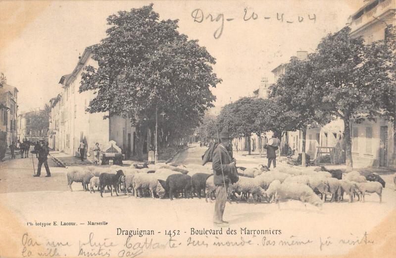 Carte postale ancienne Draguignan - Boulevard Des Marronniers à Draguignan