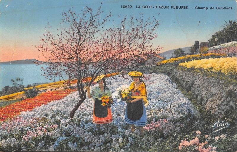 Carte postale ancienne La Cote D'Azur - Champ De Giroflees