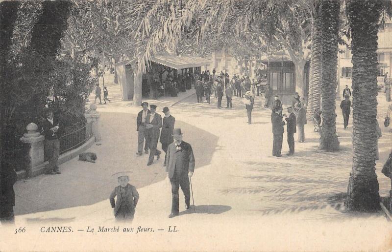 Carte postale ancienne Cannes - Le Marche Aux Fleurs à Cannes