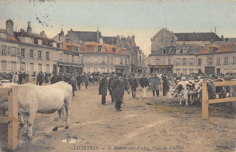Carte postale ancienne Chartres - Le Marche Aux Vaches - Place Du Chatelet à Chartres