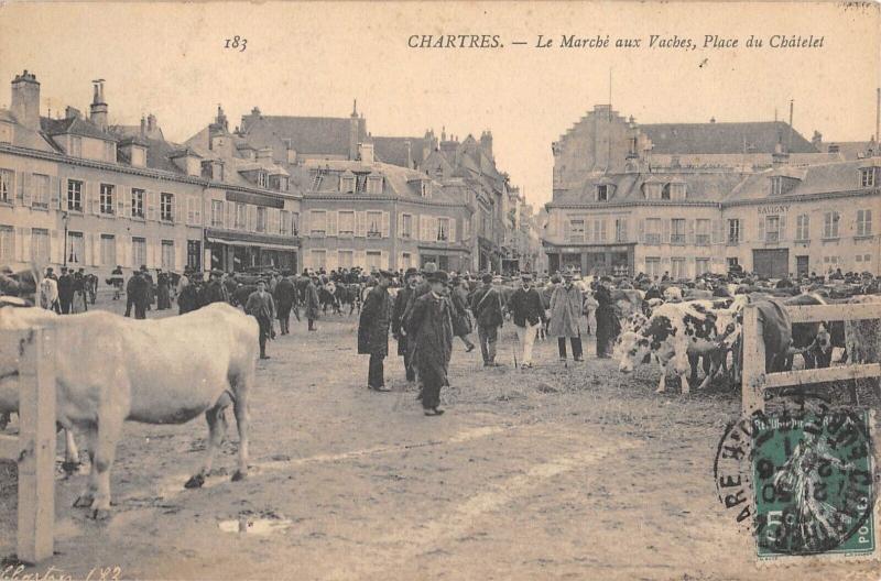 Carte postale ancienne Chartres - Le Marche Aux Vaches - Place Du Chatelet à Chartres