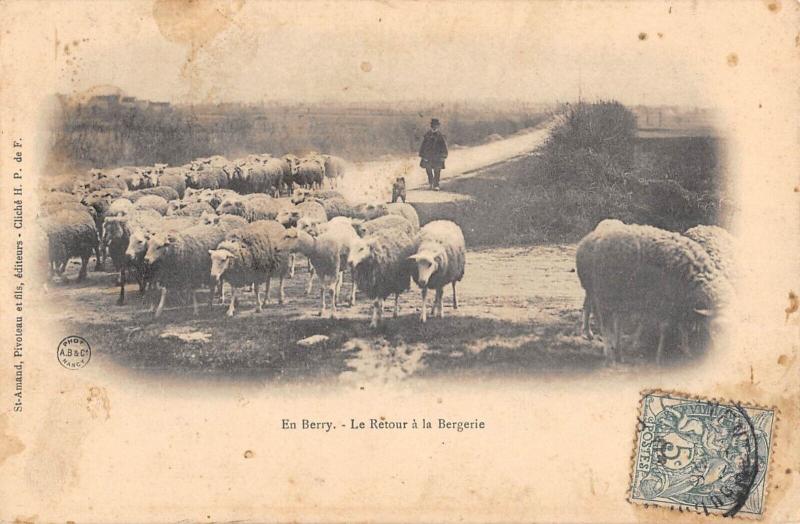 Carte postale ancienne En Berry - Le Retour A La Bergerie