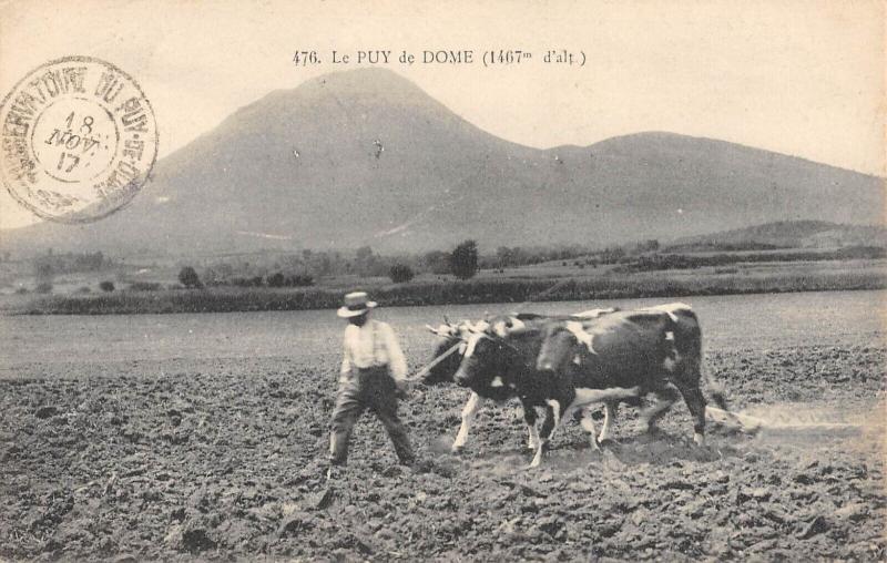 Carte postale ancienne Le Puy De Dome - Vaches