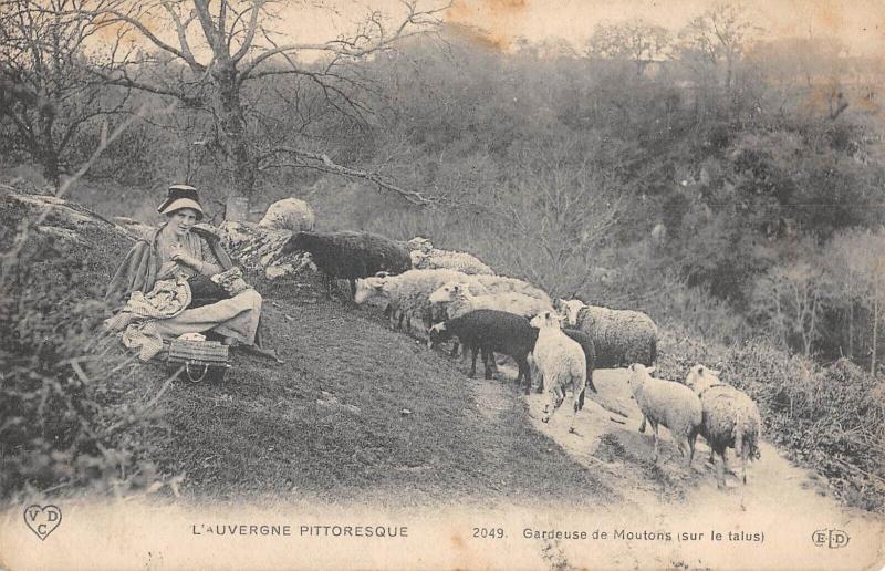 Carte postale ancienne Auvergne - Gardeuse De Moutons Sur Le Talus