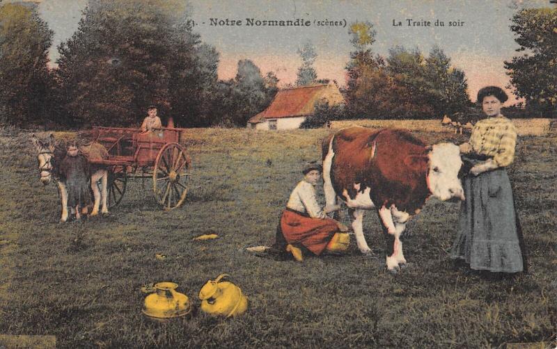 Carte postale ancienne Notre Normandie - Scenes - La Traite Du Soir