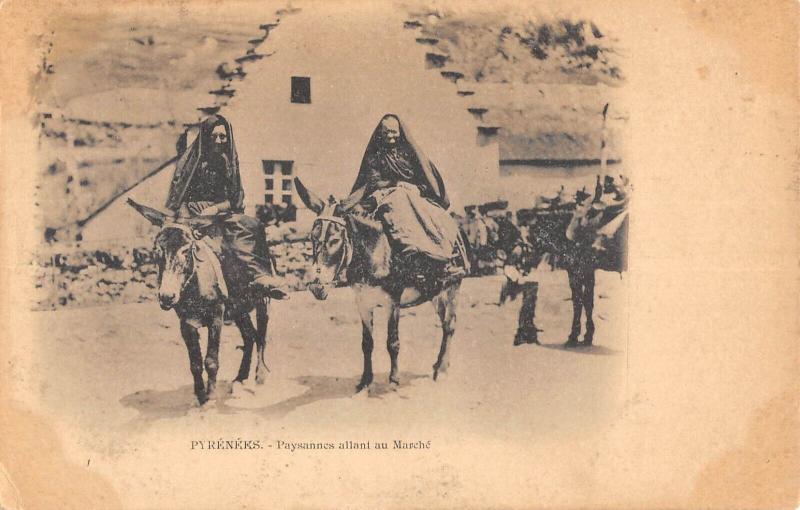 Carte postale ancienne Pyrenees - Paysannes Allant Au Marche