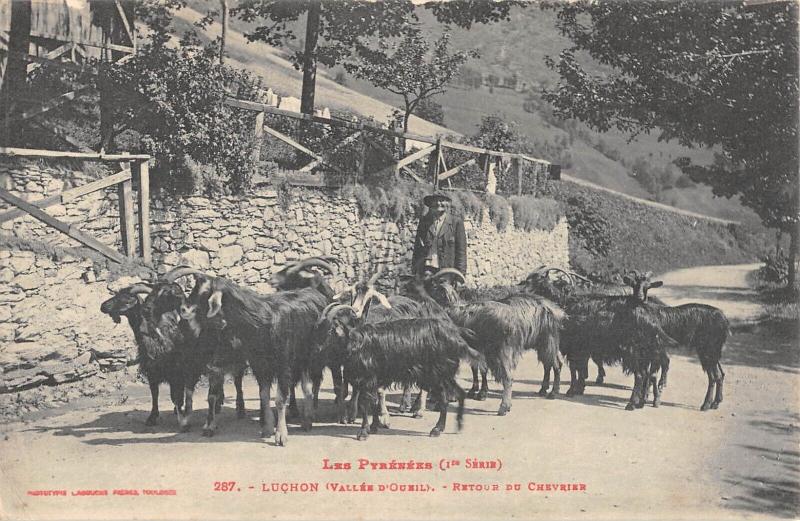 Carte postale ancienne Luchon - Vallee D'Oueil - Retour Du Chevrier