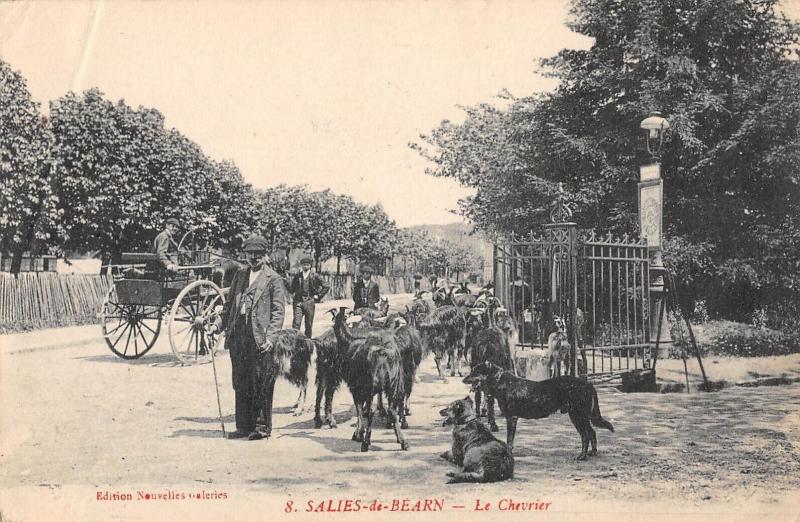 Carte postale ancienne Salies De Bearn - Le Chevrier à Salies-de-Béarn