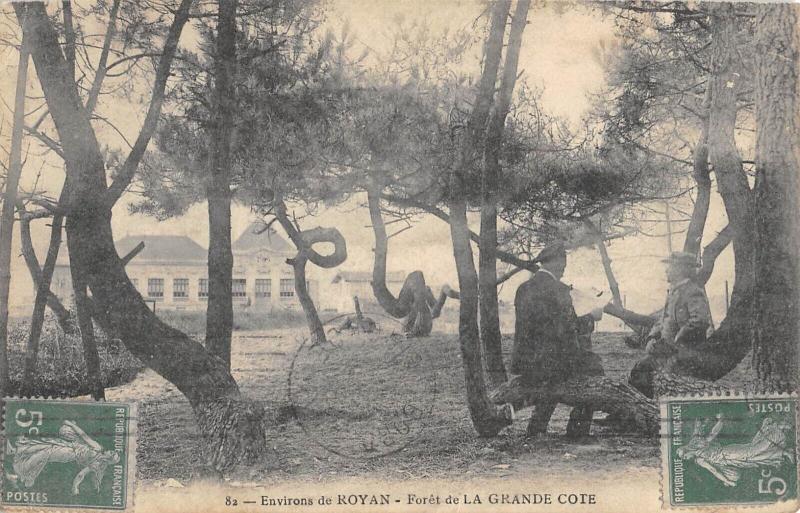 Carte postale ancienne Environs De Royan - Foret De La Grande Cote à Royan