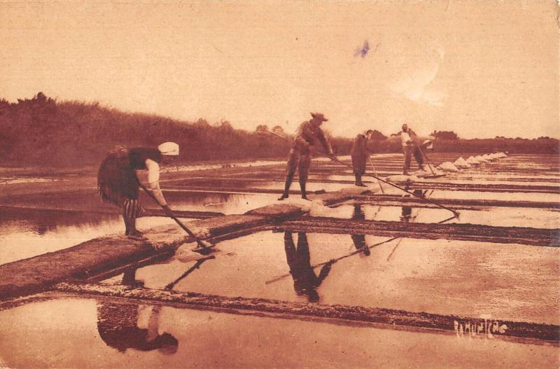 Carte postale ancienne Ile De Re - Marais Salants - Ratissage Du Sel