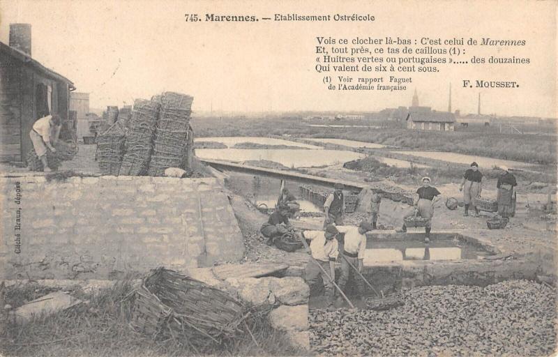 Carte postale ancienne Marennes - Etablissement Ostreicole
