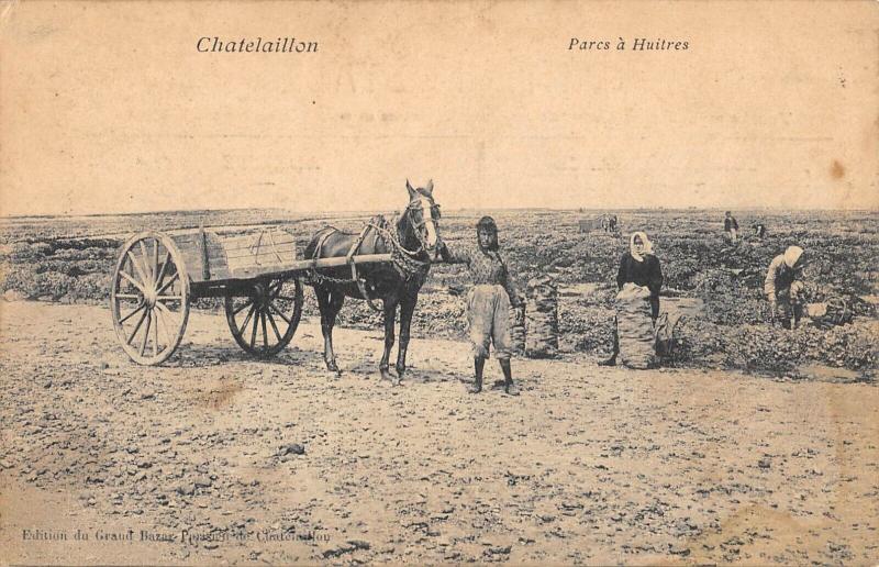Carte postale ancienne Chatelaillon - Parcs A Huitres