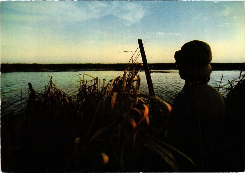 Carte postale ancienne Souvenir