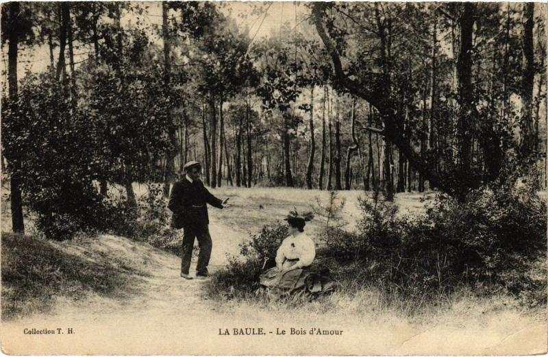 Carte postale ancienne La Baule Bois d'Amour