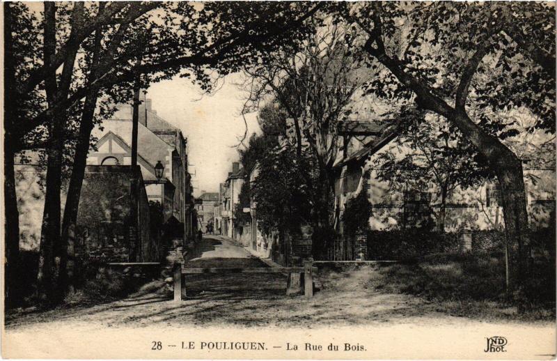 Carte postale ancienne Le Poliguen Rue du Bois