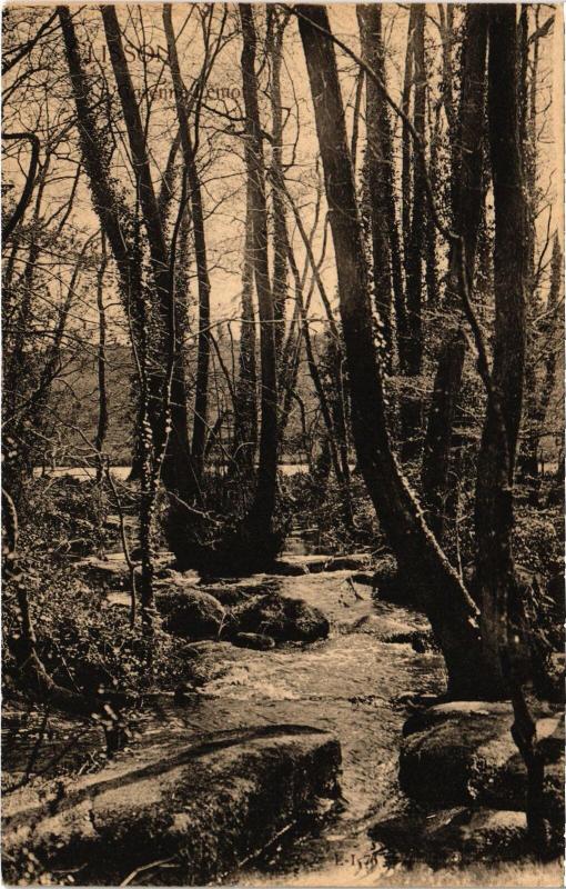 Carte postale ancienne Clisson la tour sud du chateau à Clisson