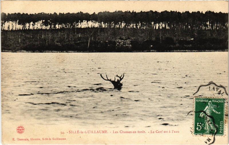 Carte postale ancienne Sille-le-Guillaume Chasses en Foret - Le Cerf est l'Eau France